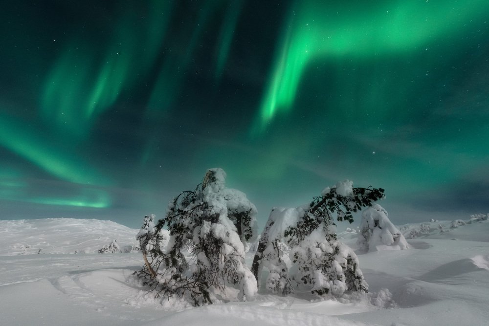 Photograph by Андрей Баскевич