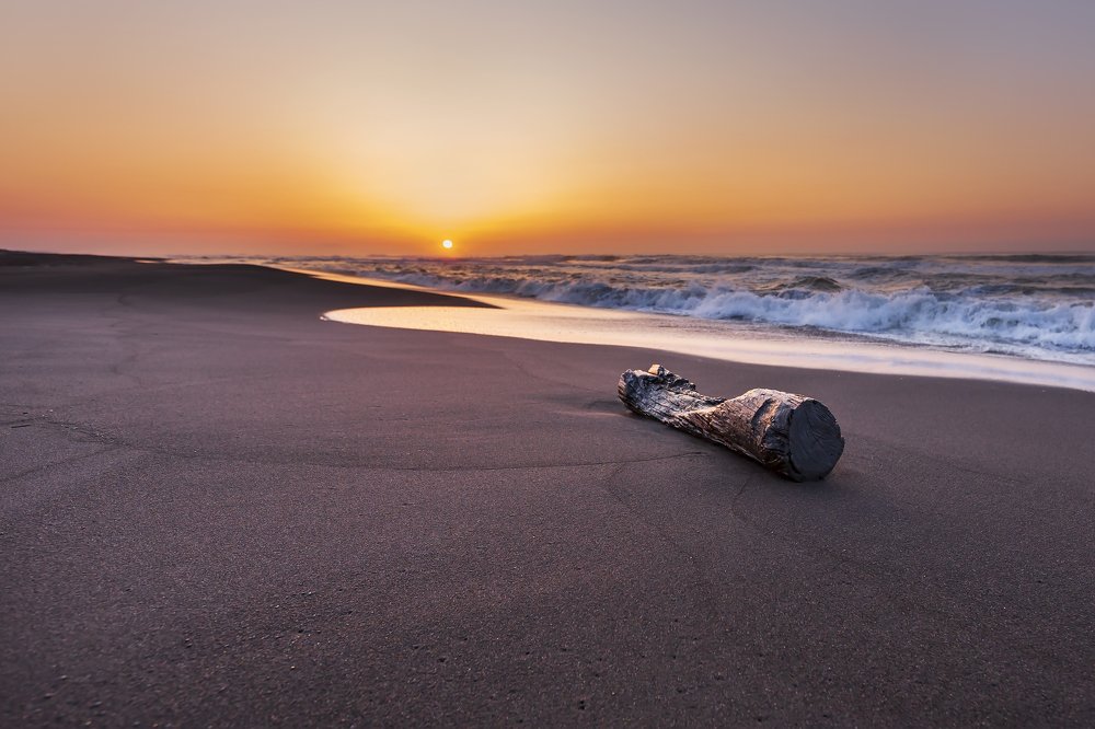одинокий зритель рассвета. the lone spectator of the dawn