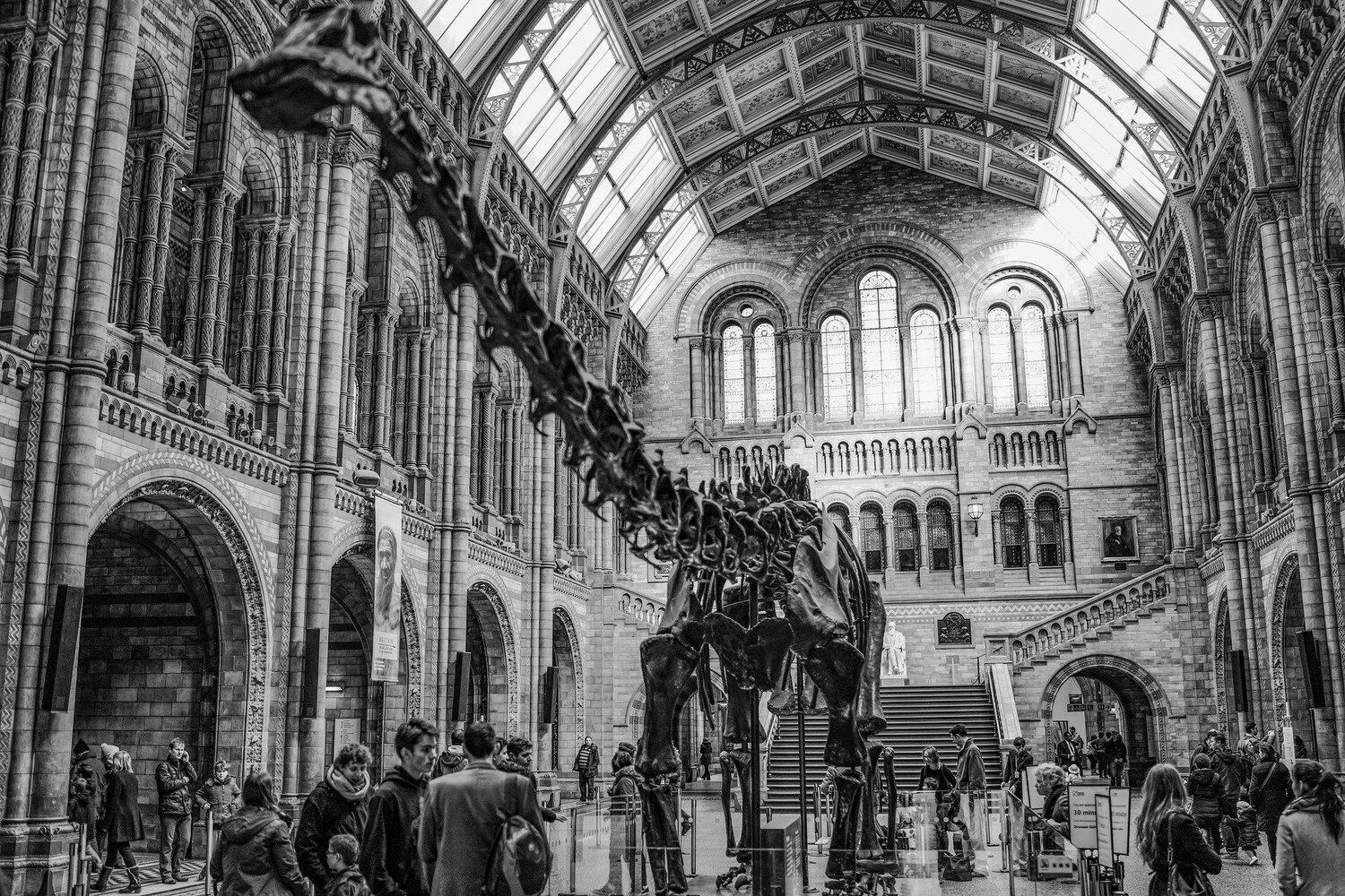 Dinosaur in the Foyer