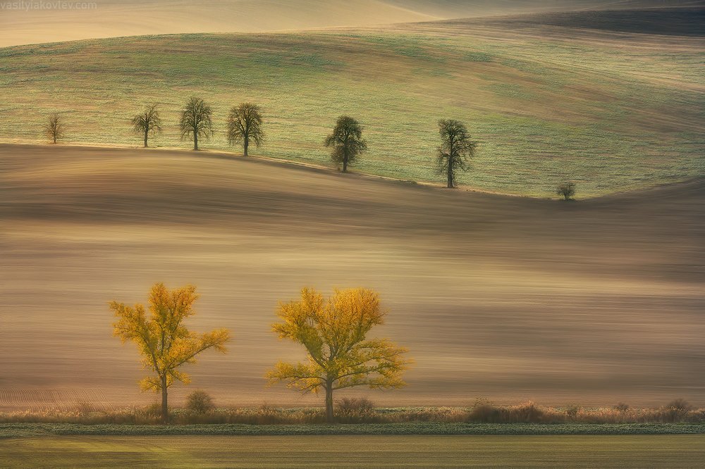 Чешская пастораль