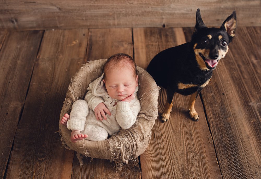 Photograph by Яна Овчинникова