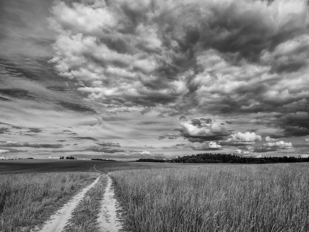 Photograph by Владимир Перепечаев