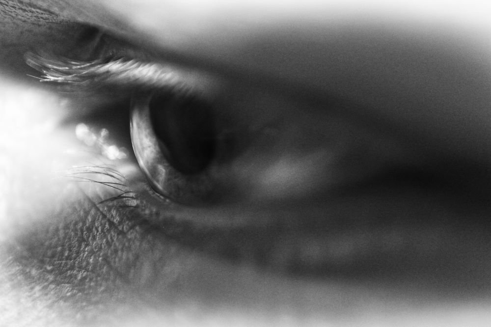 Photograph by Sandor Zoltan Gal