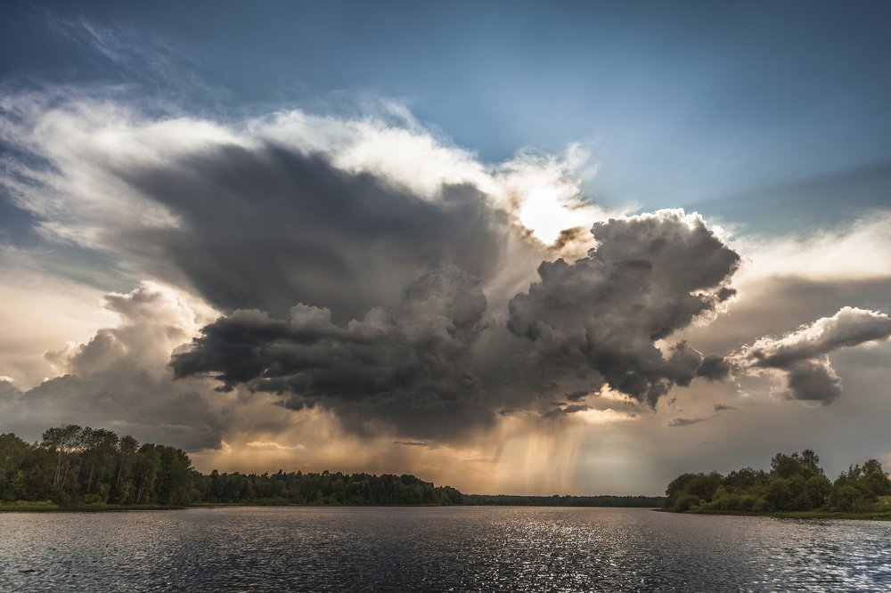 Крылатый вестник непогоды