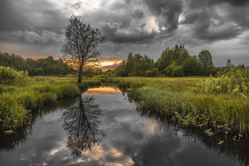 Верховье реки Явань