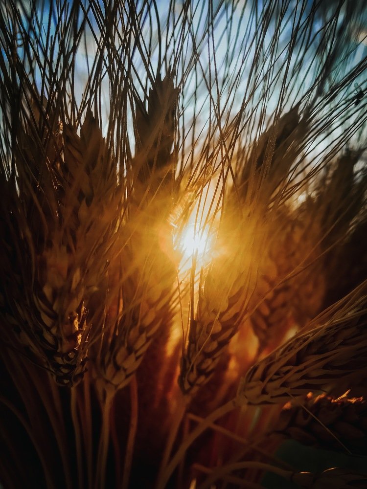 Photograph by Сергей Бойко