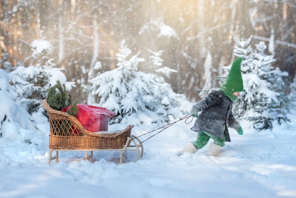 Photograph by Альфия Зотова