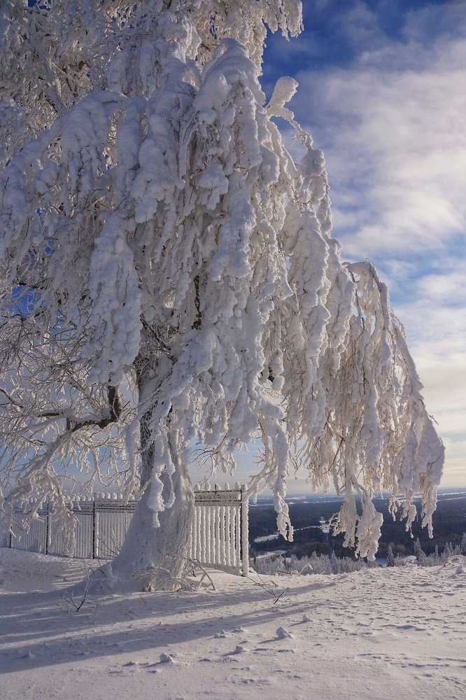 Photograph by Наталья Фрейман
