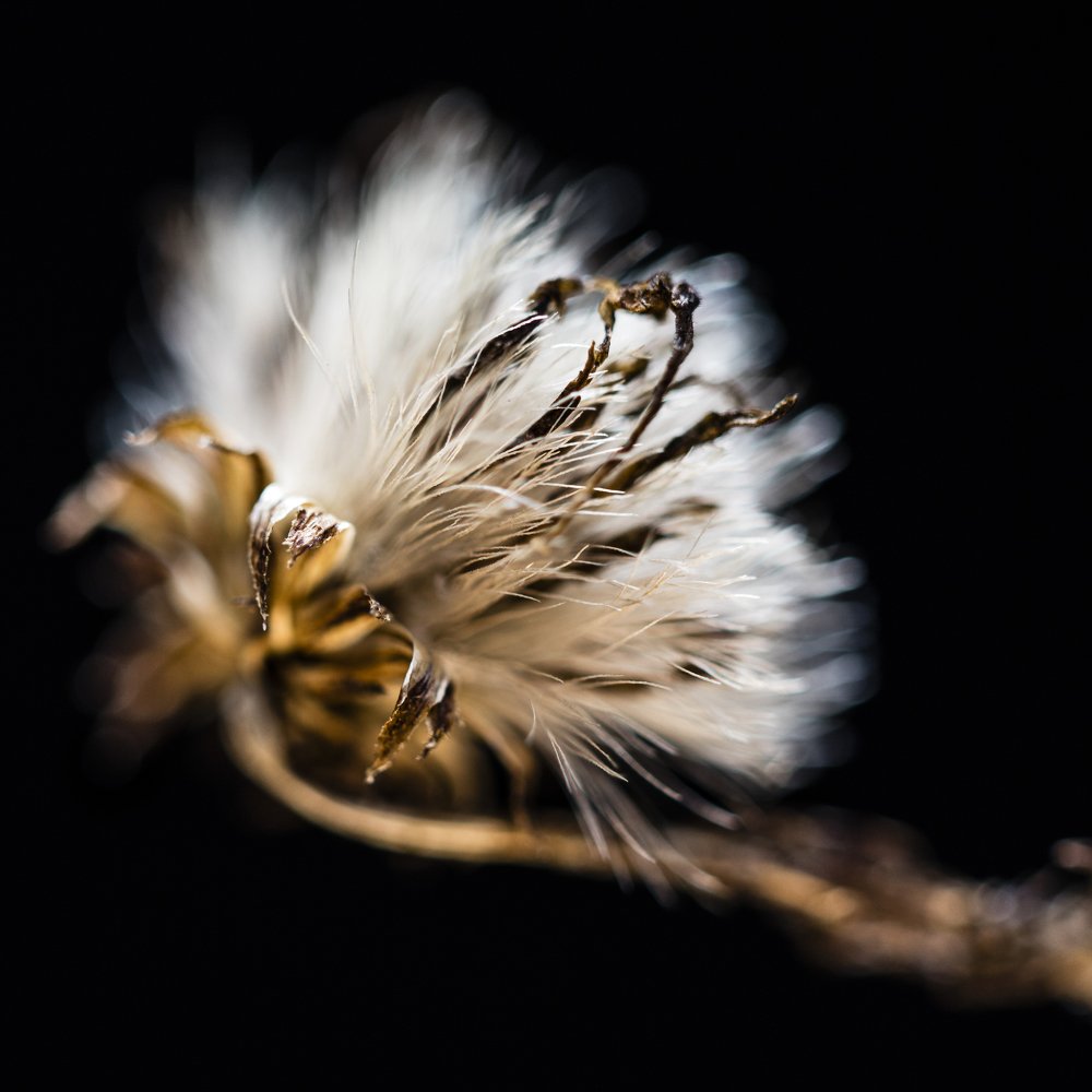 Photograph by Яна Ленчевская