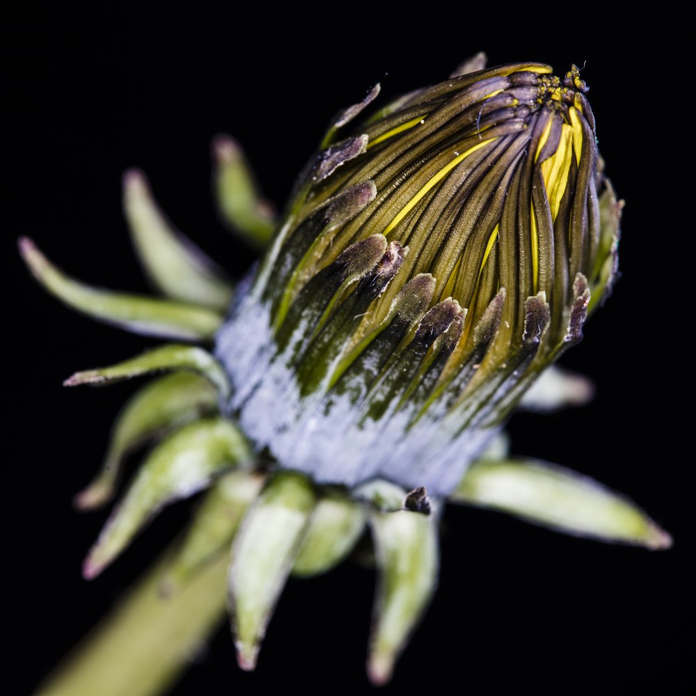 Photograph by Яна Ленчевская