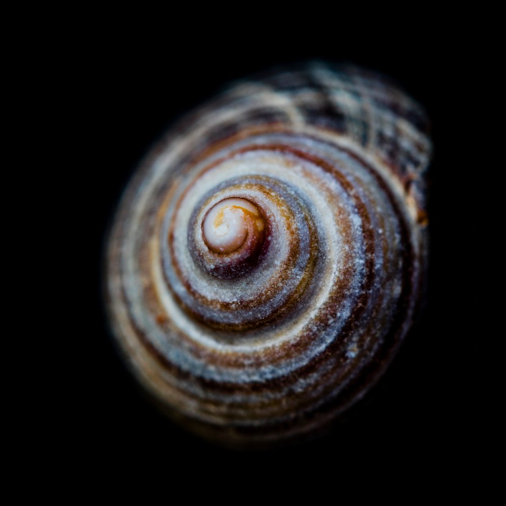 Photograph by Яна Ленчевская