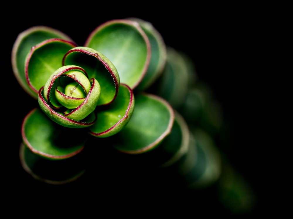 Photograph by Яна Ленчевская