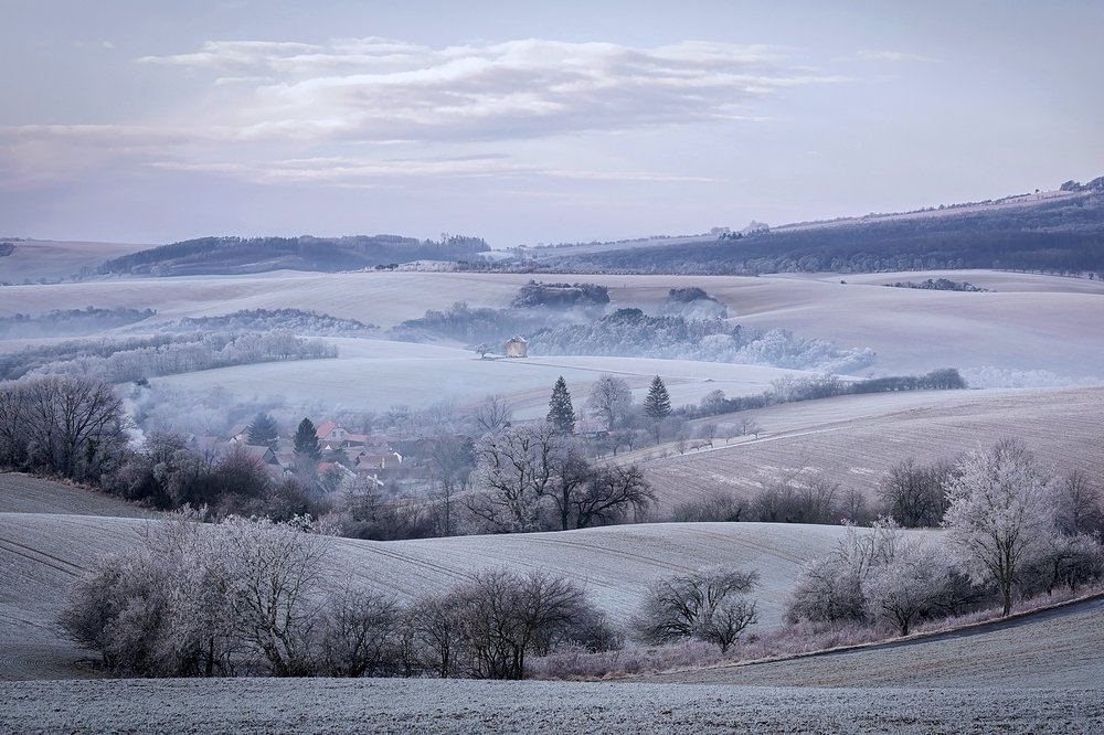 Фотография автора Лана Григорьева