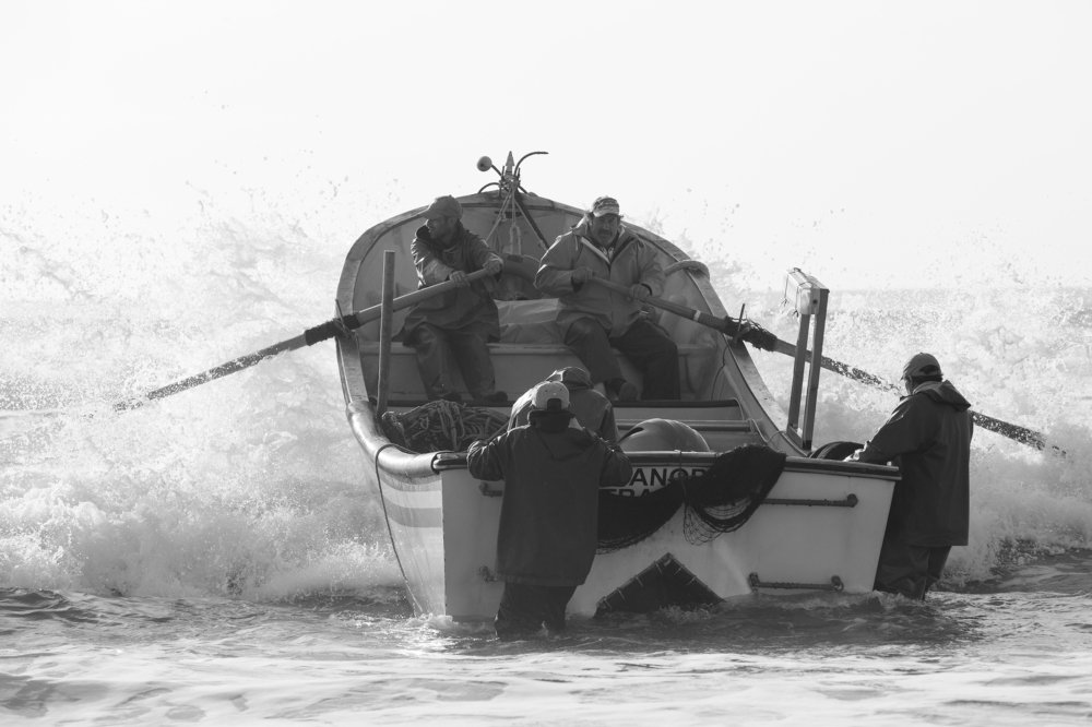 Photograph by Carlos Alberto Sequeira