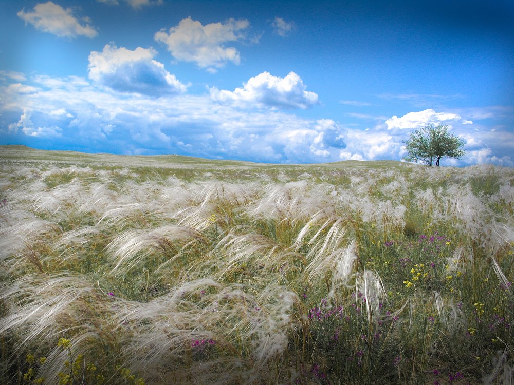 Photograph by петр чиков