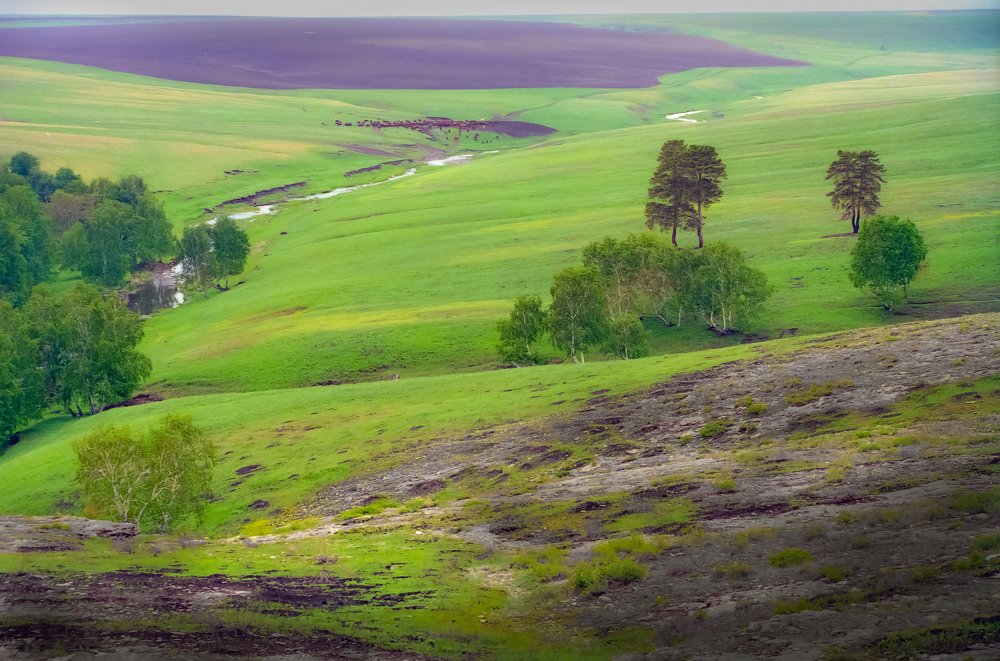 Photograph by петр чиков