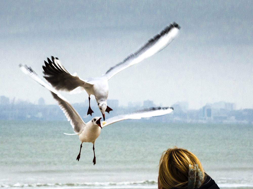 Photograph by Анна Шац