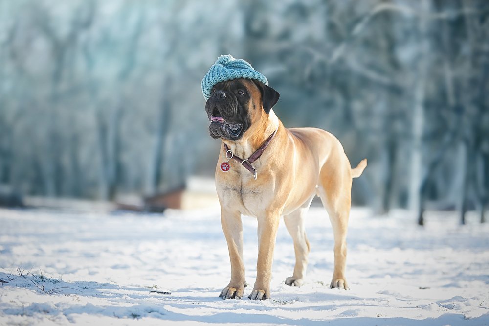 Photograph by Галина Ледок