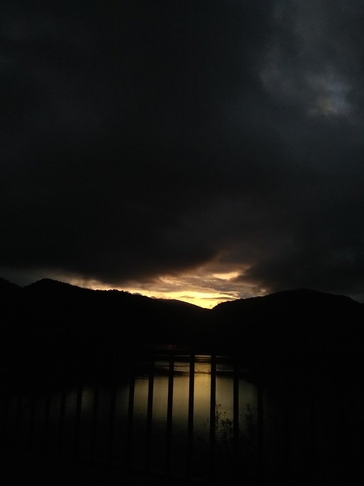 Photo #4291622