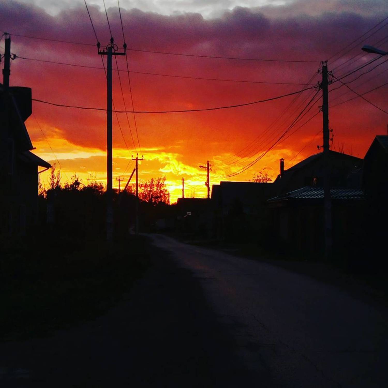 Photo #4291709