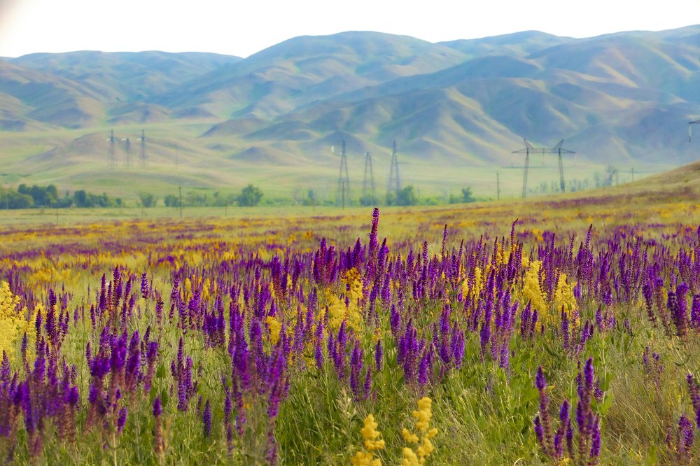 Photograph by петр чиков