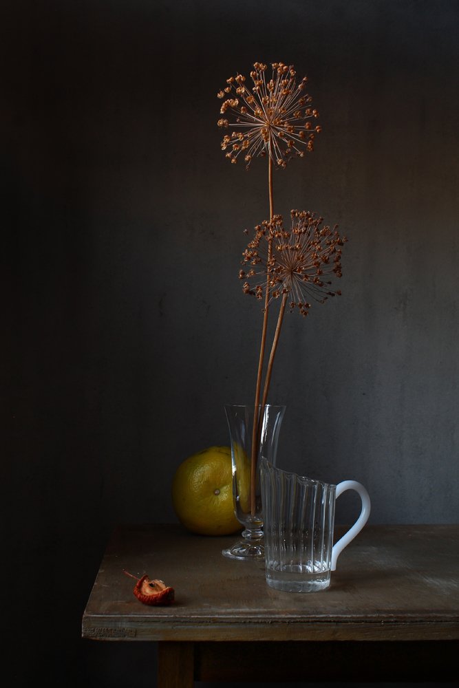 Низкое зимнее солнце