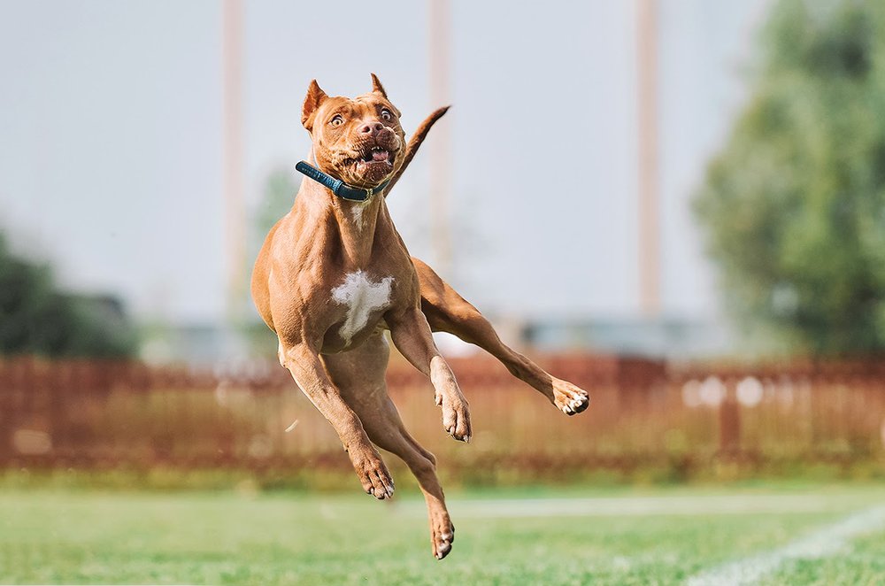 Photograph by Екатерина Коваленко