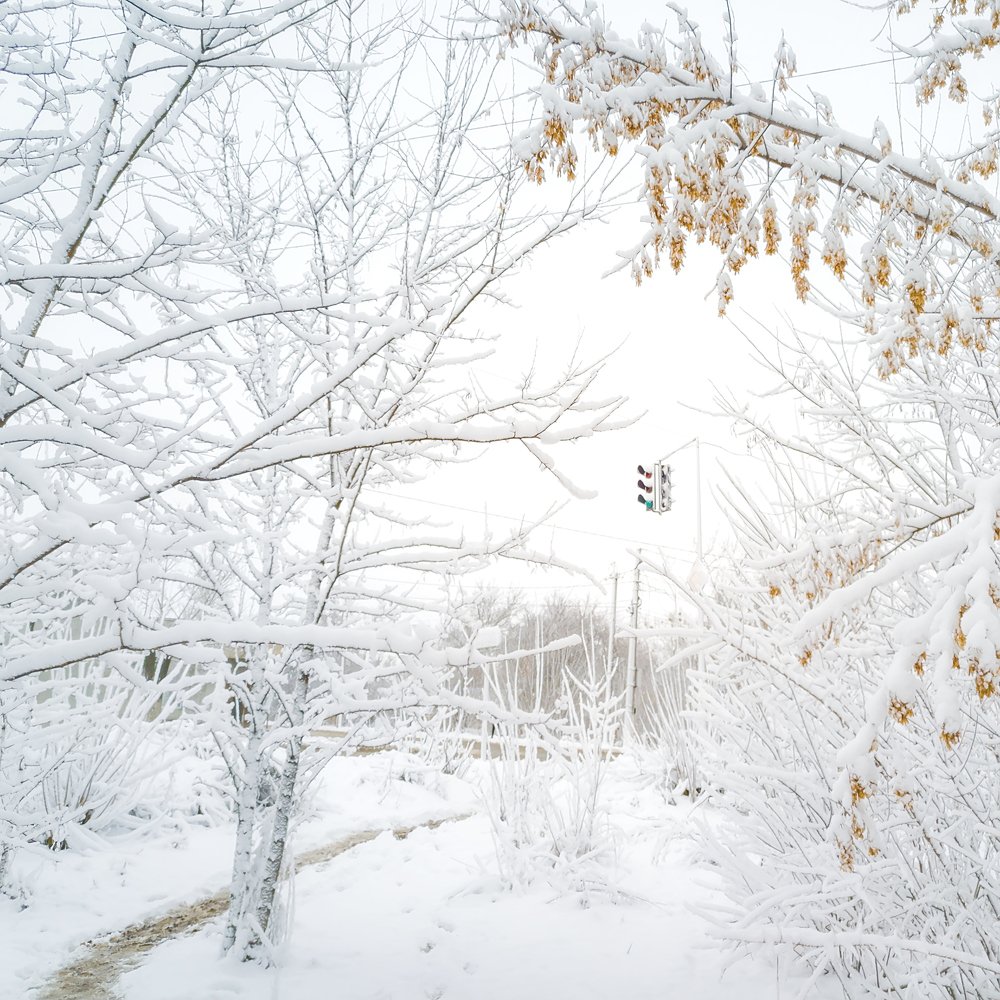 Photograph by Петр