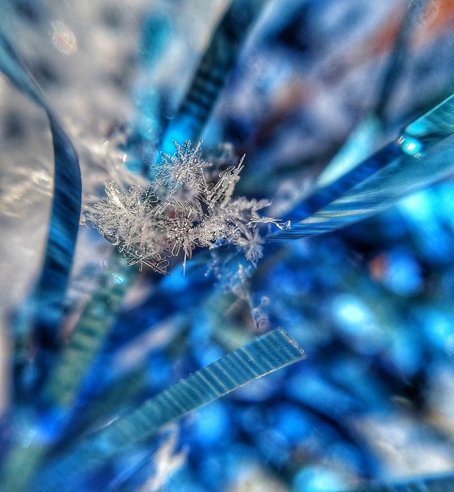 Photograph by Светлана Фладунг