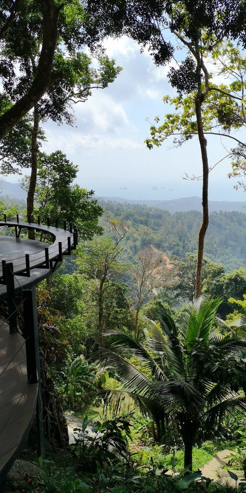 Photograph by Mary Parey