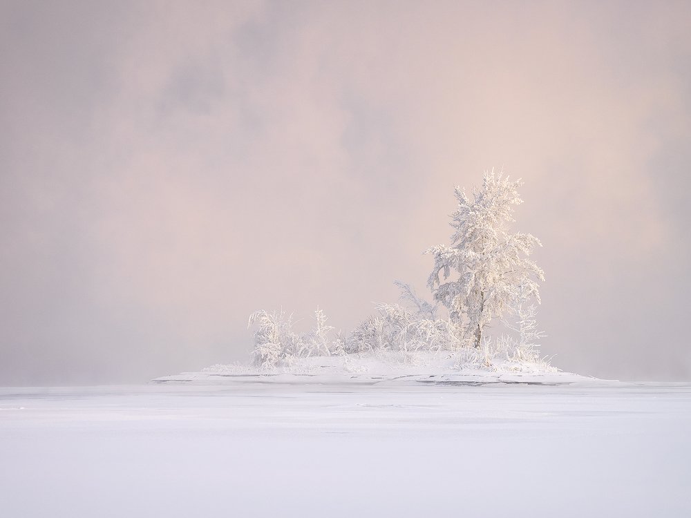 Photograph by Лещёнок Александр