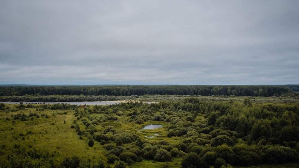 Photograph by Никита Капустин