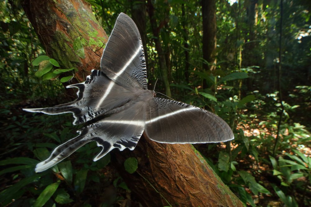 Фотография автора Иван Науменко