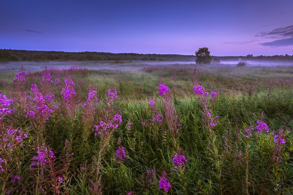 Тихий вечер