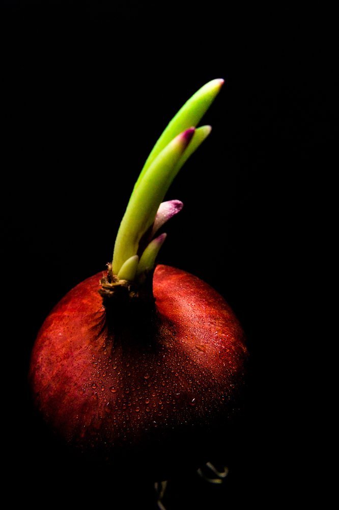 Photograph by Peterson Bernabe Cruspe