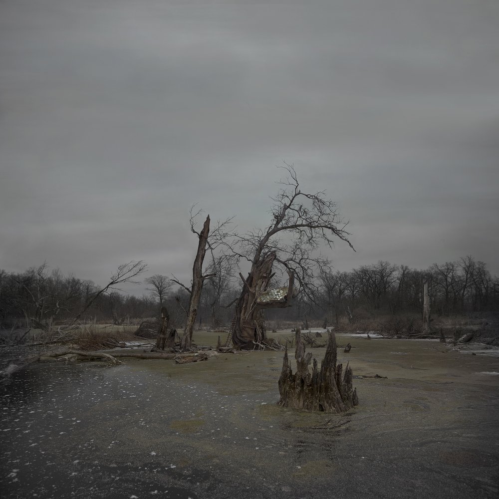 Фотография автора Виктор Кириллов