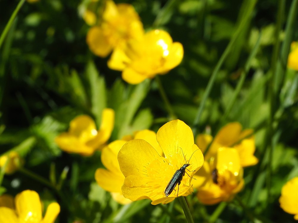 Photograph by Надежда Меркулова