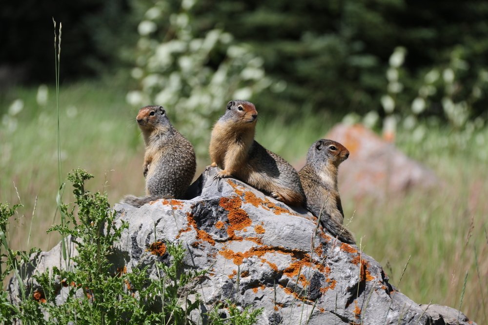 Photograph by Иван Кичев