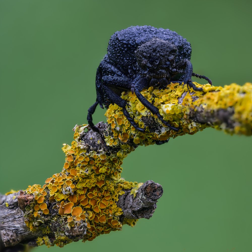 Photograph by Игорь ФУММ