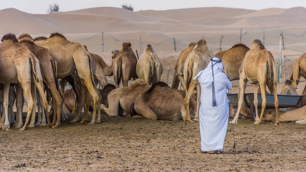 Photograph by Macy Anne Seeping