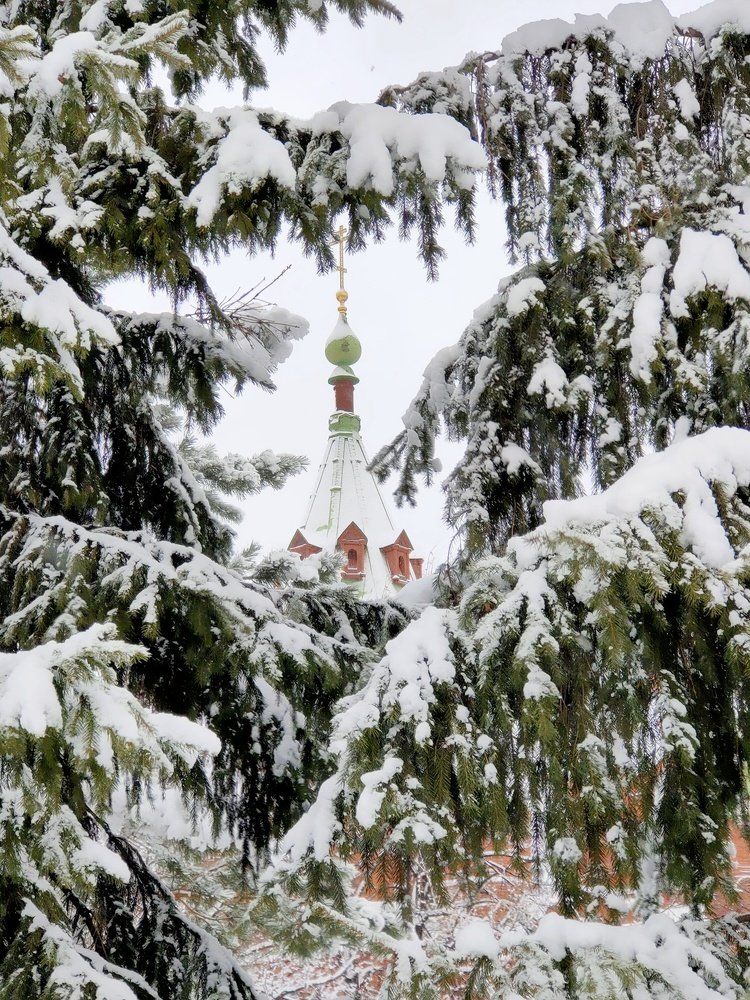 Photograph by Anna Koniakhina