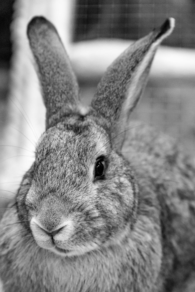 Photograph by Macy Anne Seeping