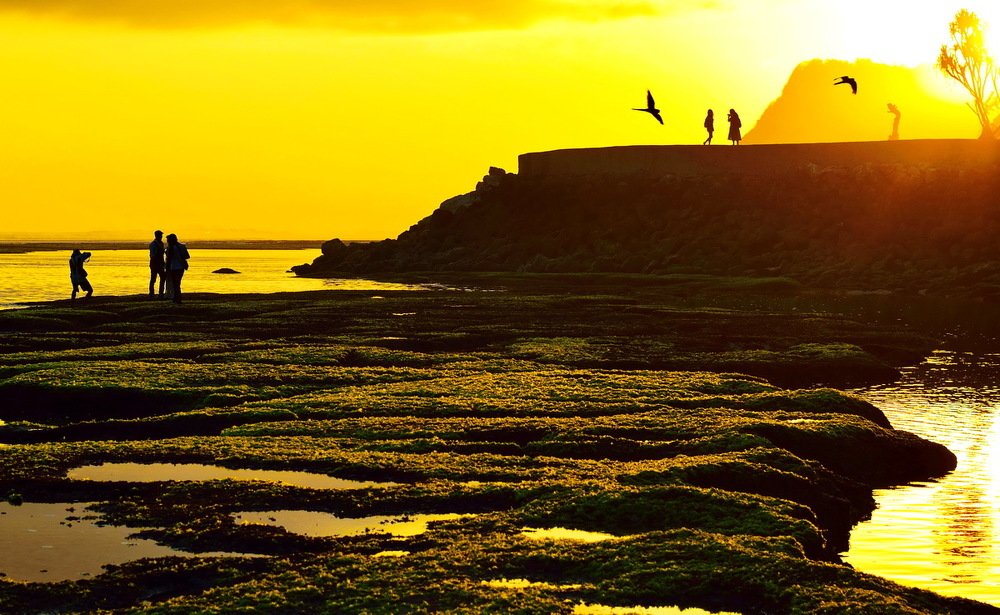 Photograph by Const Mx