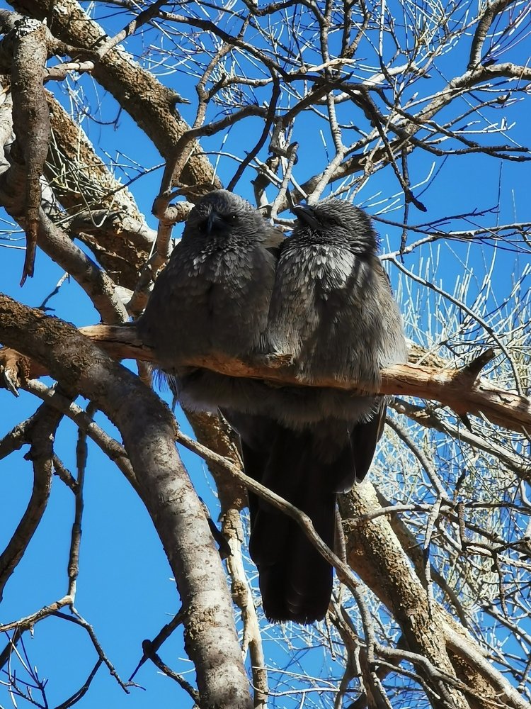 Photograph by Ranold rasid