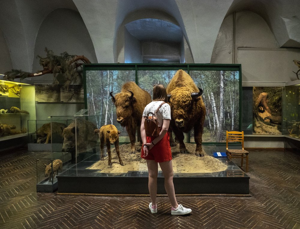 Photograph by Елена Ржевская