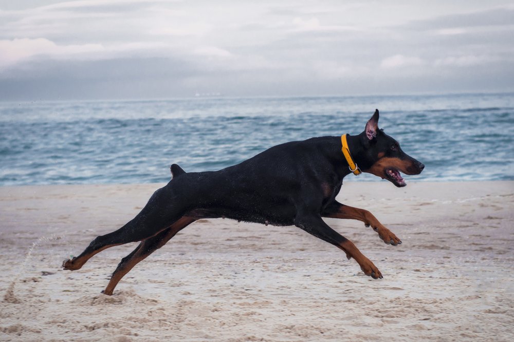 Photograph by Виола Поликарпова