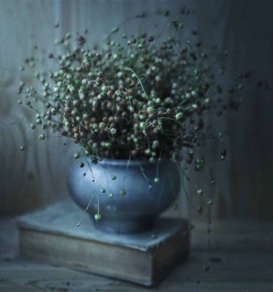 Photograph by Svoboda Andreeva