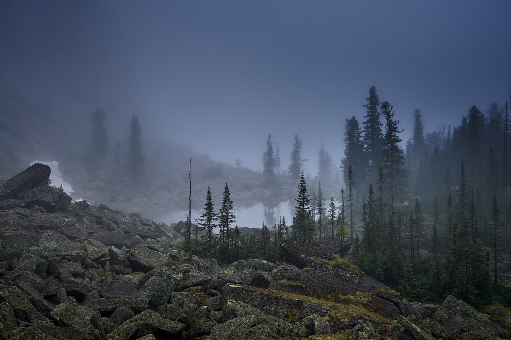 Photograph by Сергей Межин