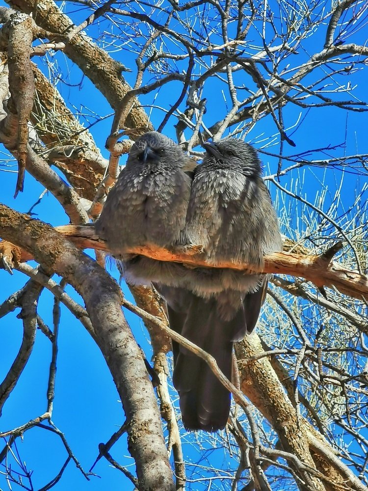 Photograph by Ranold rasid