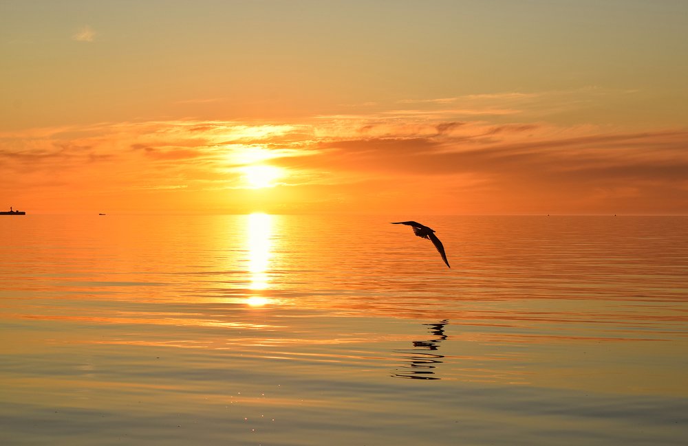 Photograph by Елена Вертегова